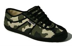 Kawasaki camouflage
