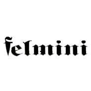 Felmini